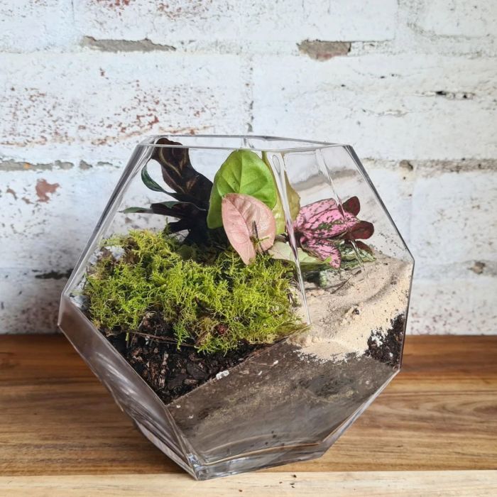 glass geometry terrarium vase