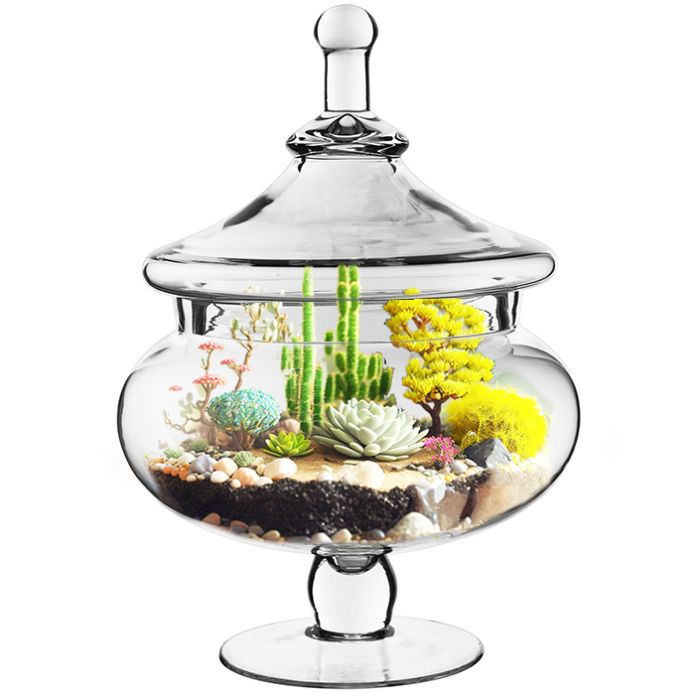 glass apothecary candy buffet jars