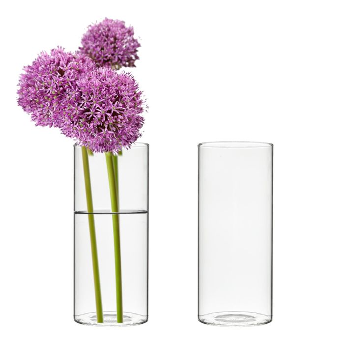 glass cylinder vases