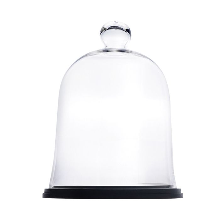 glass cloches dome with wood base display