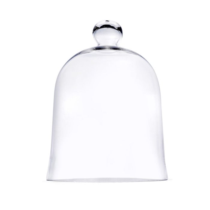 large glass cloches bell jars