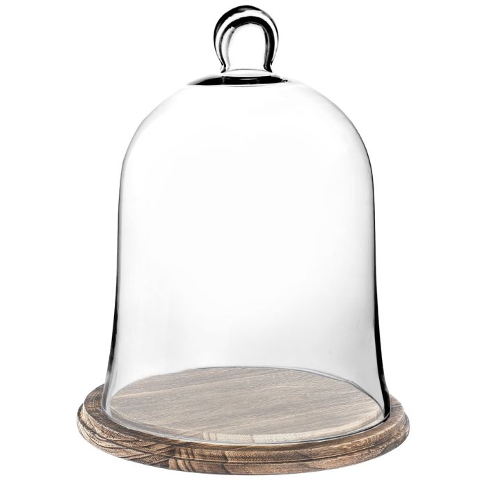 glass dome with brown wood base