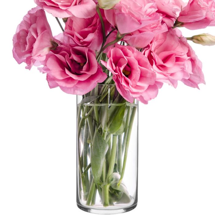 GLASS CYLINDER VASES