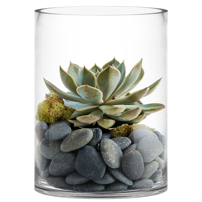 12 inches 6 inches wide glass cylinder vases wholesale