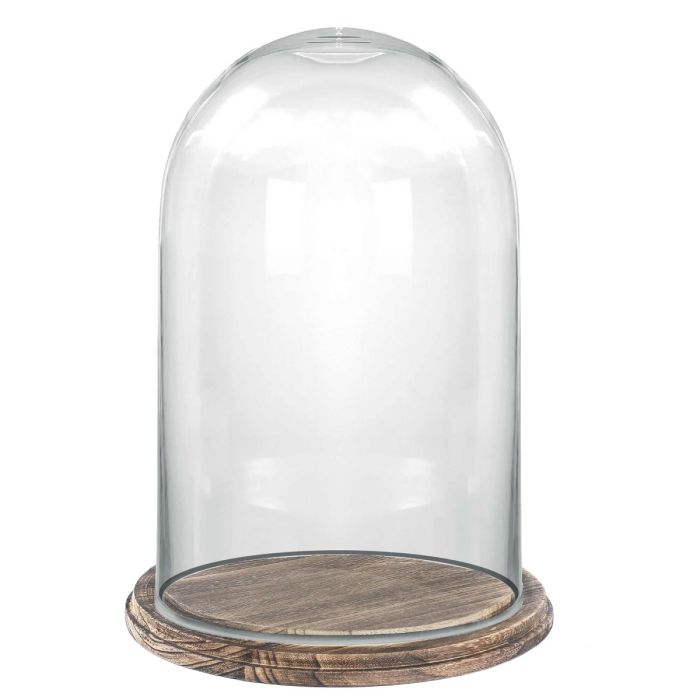 Glass Dome with Burnt Finish Wood Base