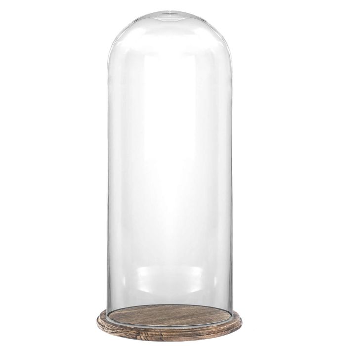 H 19.5" x D 11" glass dome cloche with burnt brown wood base
