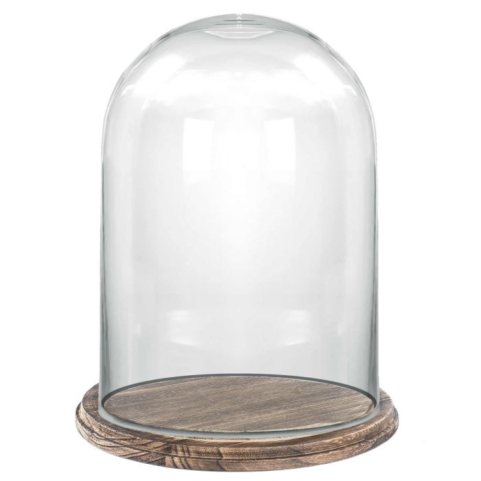 large glass dome with burnt wood base