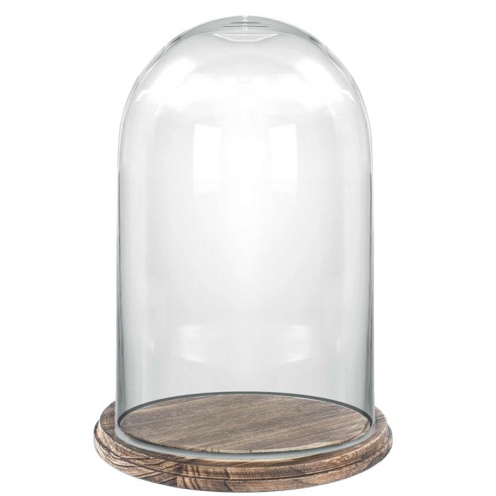 glass dome cloches