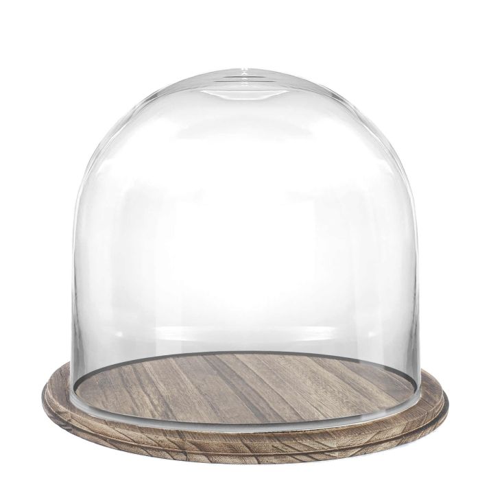 glass dome cloches with Brown Wood base