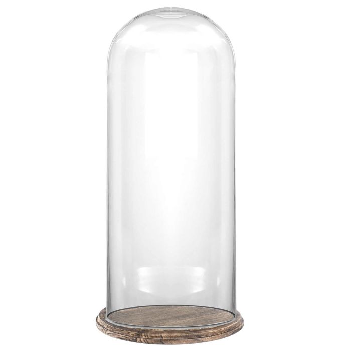 15 inches tall glass dome with brown wood base