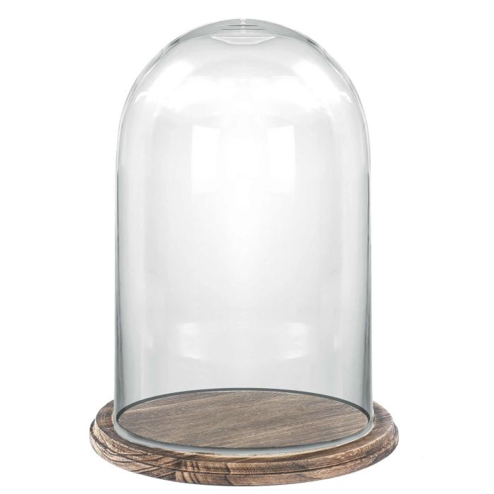 glass dome cloches with Brown Wood base