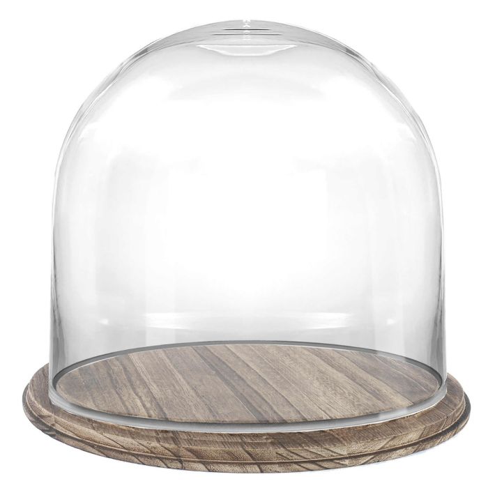 Glass cloches dome with burnt brown wood base 