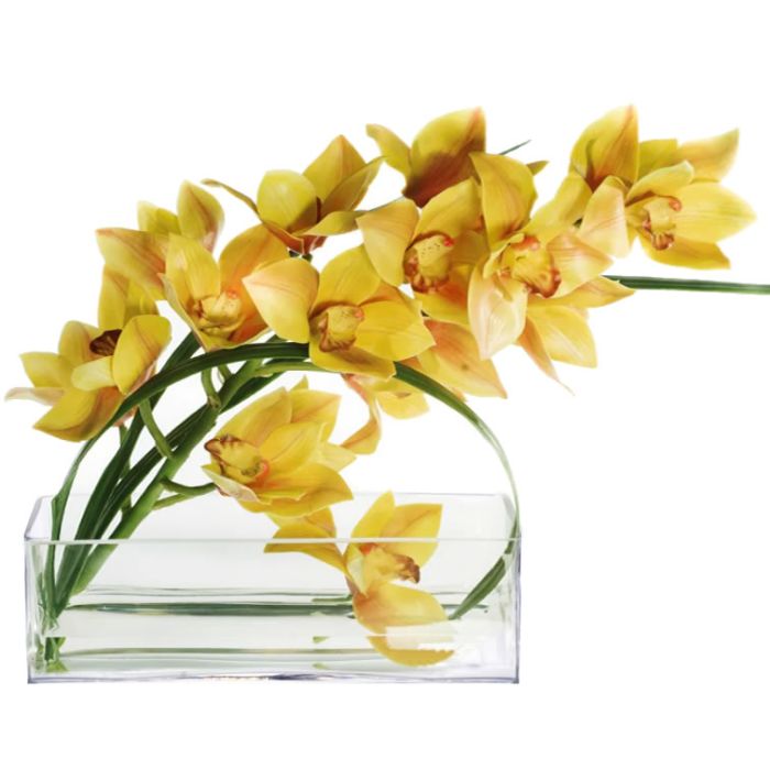 glass rectangle vase
