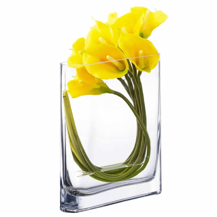 rectangle glass vases