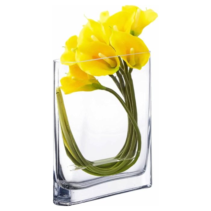 rectangle glass vases