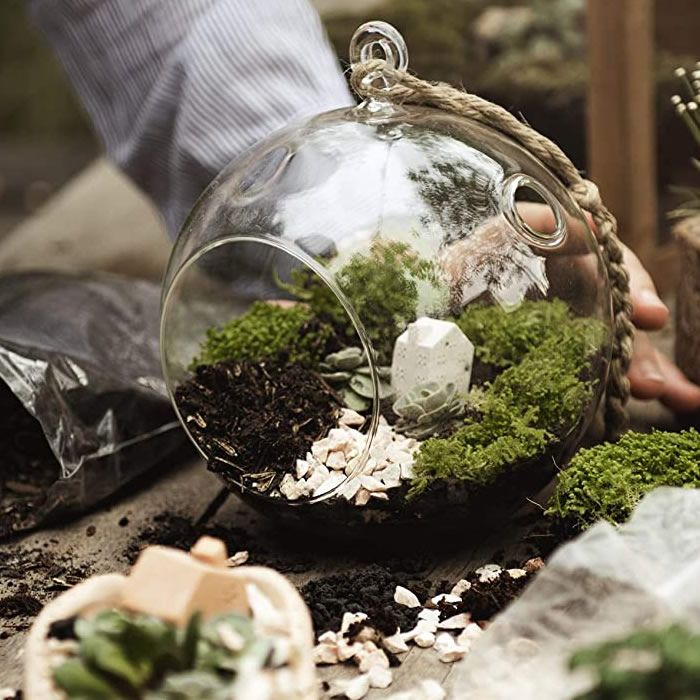 8 inch Hanging Terrarium Orb Tealight Holders