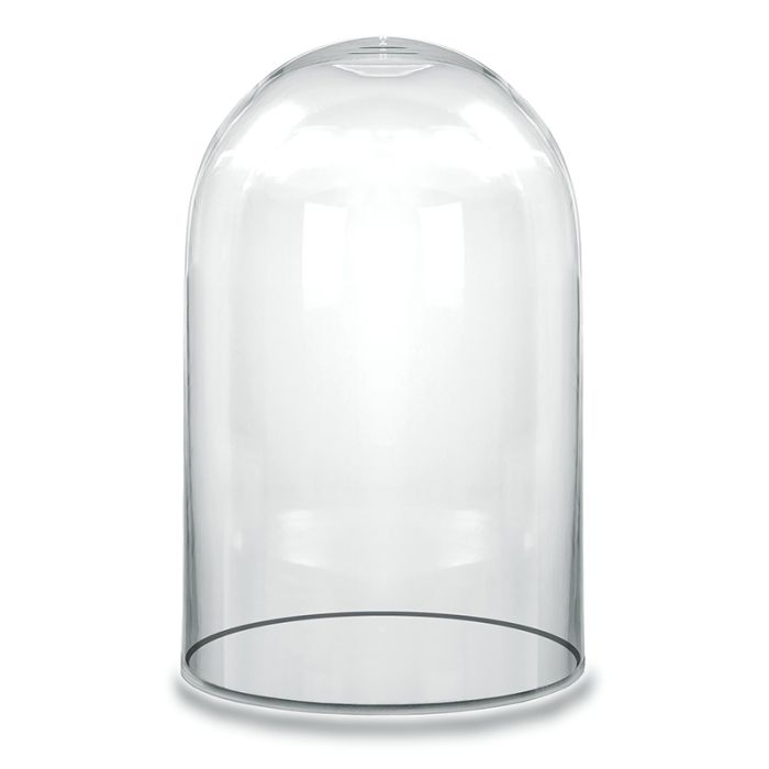 H-15" x 10"glass dome cloche