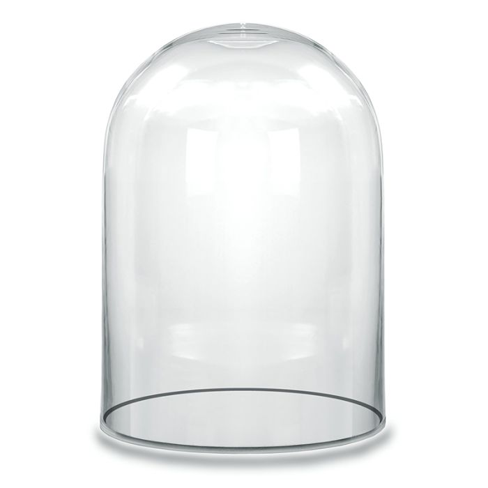 Glass cloches domes display wood base black