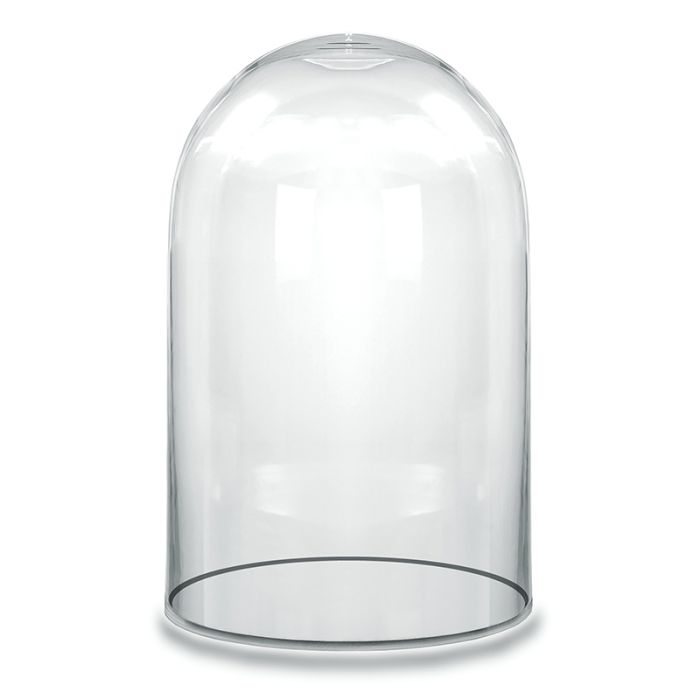Glass cloches domes display wood base black