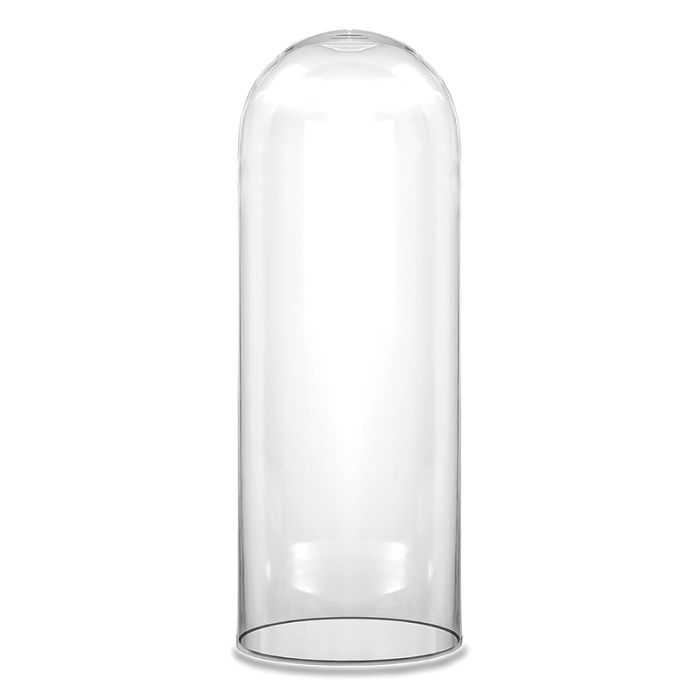 Glass cloches domes display wood base black