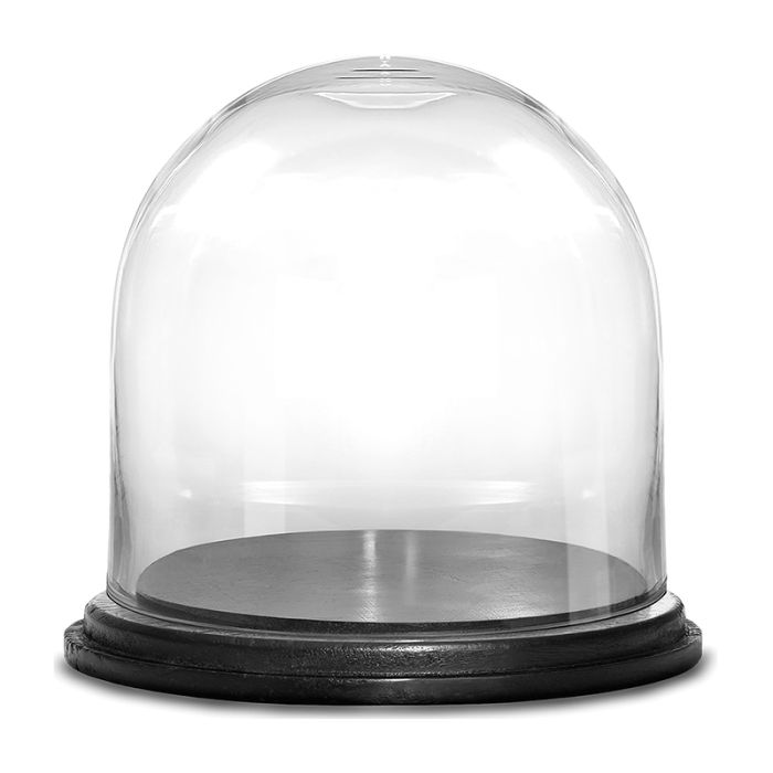 glass cloches domes with black wood base