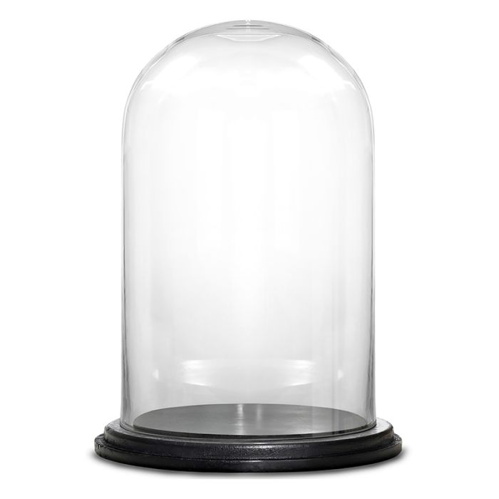 H-17 D-7" inches glass domes cloche with black wood base