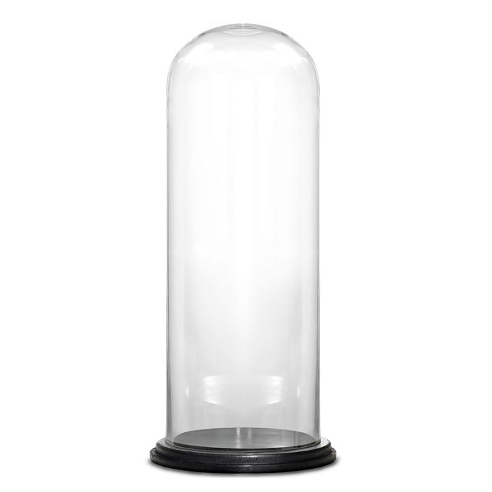 Glass cloches domes display wood base black