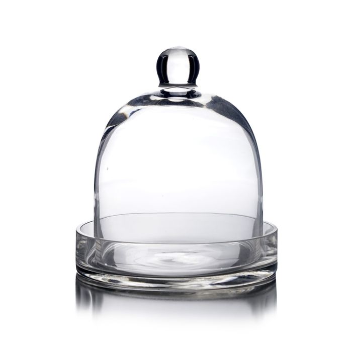 glass cloche dome with glass tray