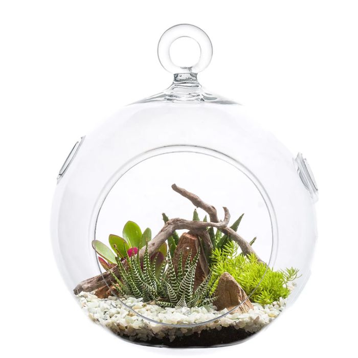 Hanging-glass-plant-terrarium-glass-orbs-gch101-08