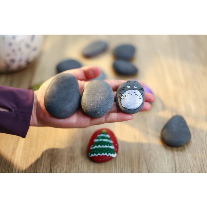 30 Lbs River Rocks for Painting – Natural Stones 2-5 Inches DIY Crafts, Garden Decor, Kindness Stone Art Projects – Smooth Flat  Decorative Pebbles 