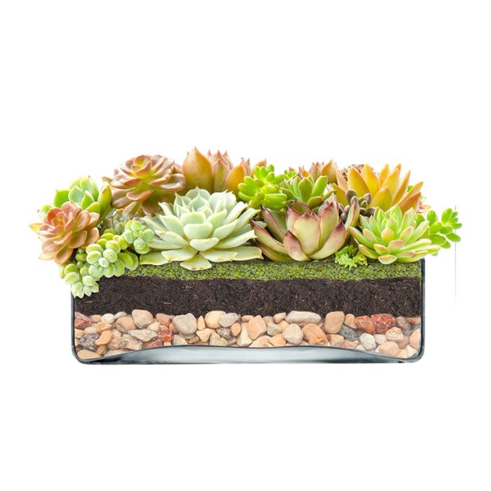glass square vases wide opening 