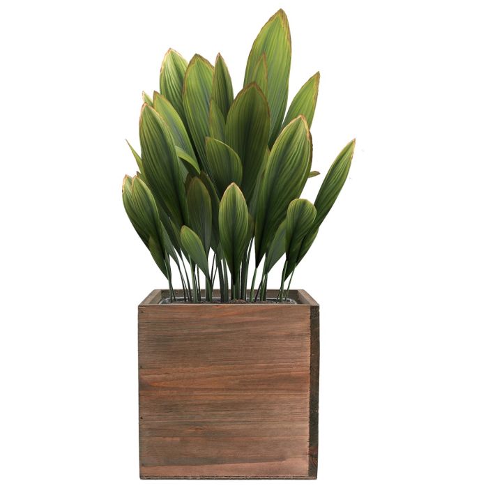 12 Inch Cube Natural Wood Garden Planters | Pack of 2