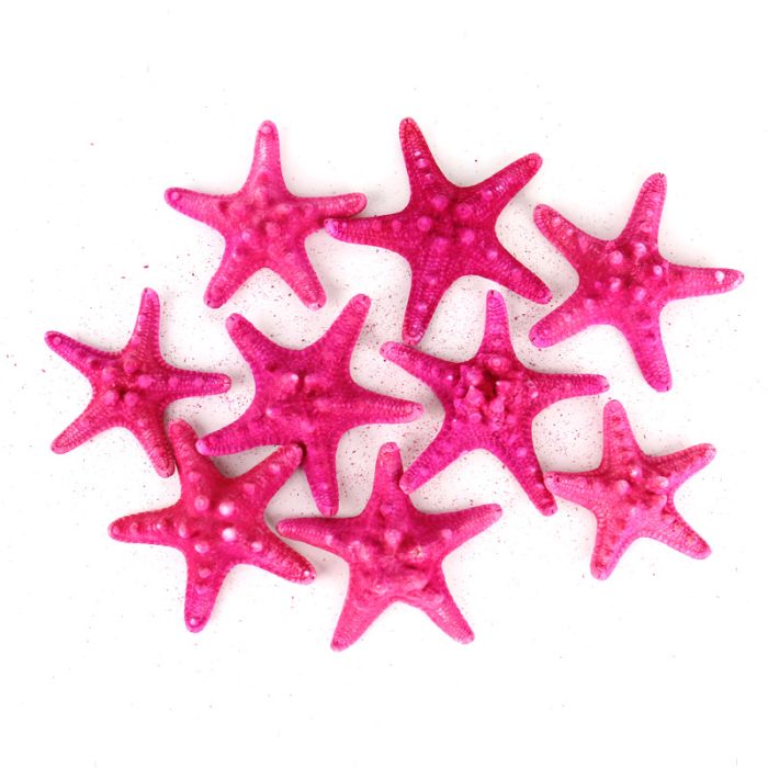 vase-filler-colored-knobby-starfish-VFSF01/04FU