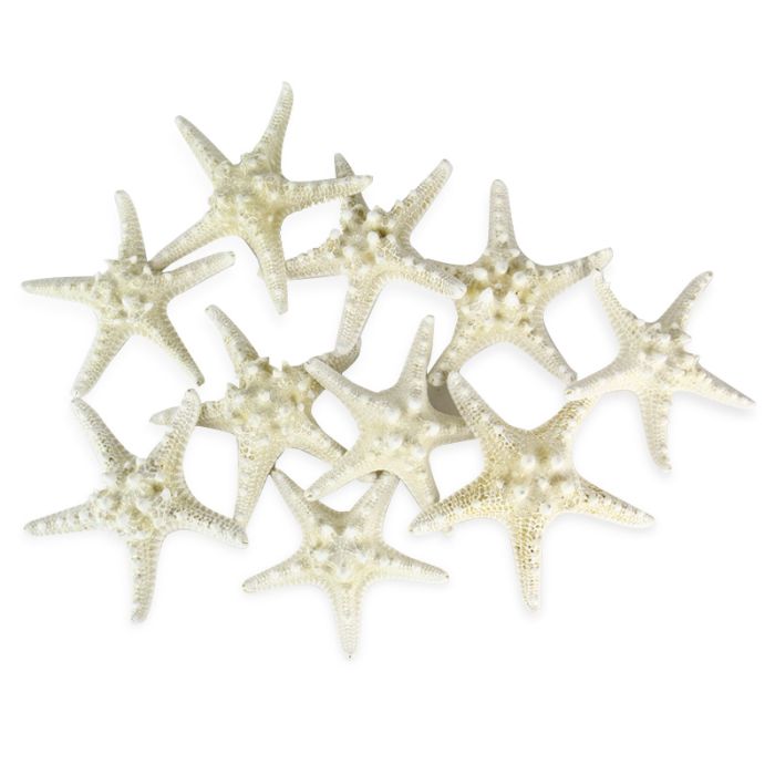 vase-filler-colored-knobby-starfish-VFSF01/05wt