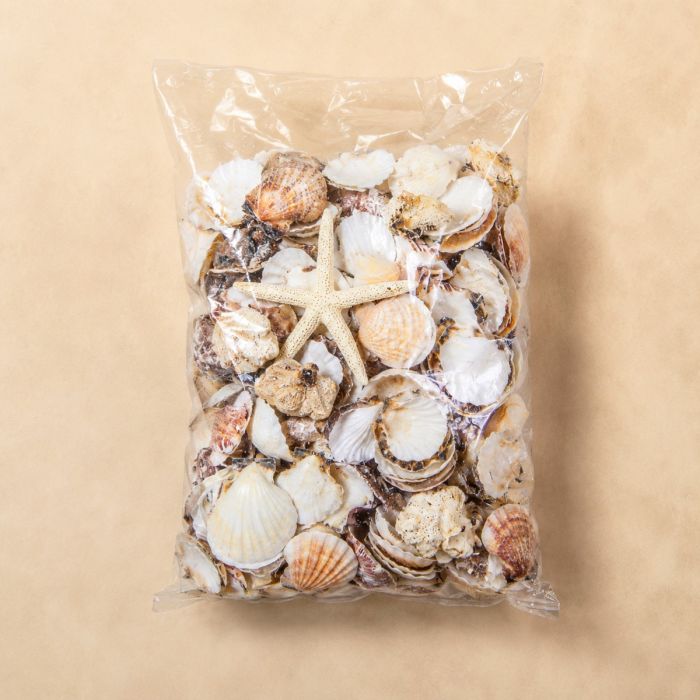 19.8 lbs Assorted Mixed Beach Seashells, Pack of 6 Bags