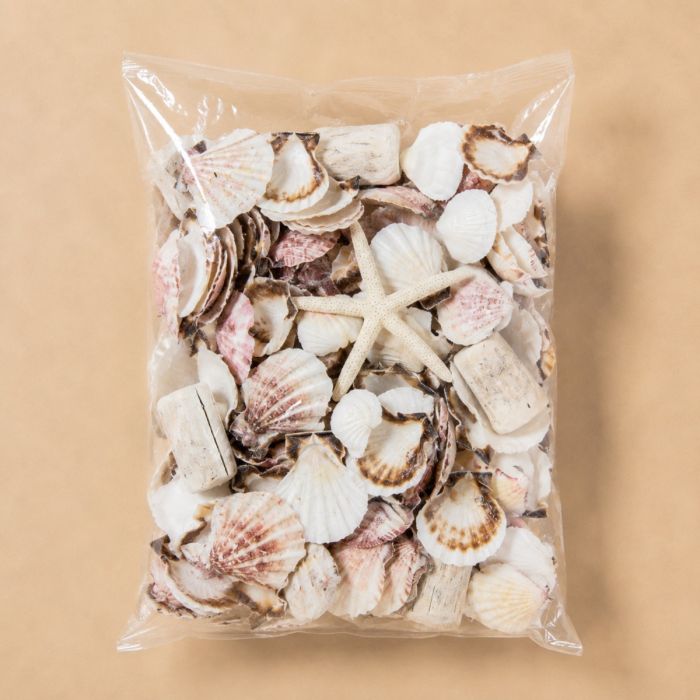 19.8 lbs Assorted Mixed Beach Seashells, Pack of 6 Bags
