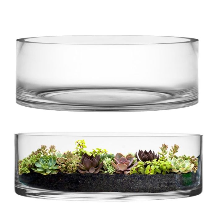 WIDE GLASS CYLINDER VASES