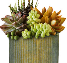 Rustic Wedding Favor Ideas