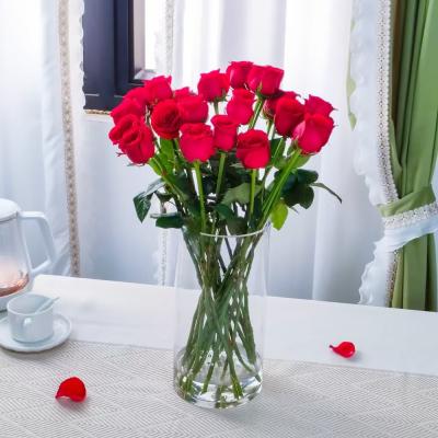 What Size Vase Do You Need for 2 Dozen Roses? Try This Easy Hand Test