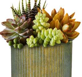 Rustic Wedding Favor Ideas