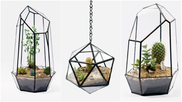 Modern Geometric Terrariums