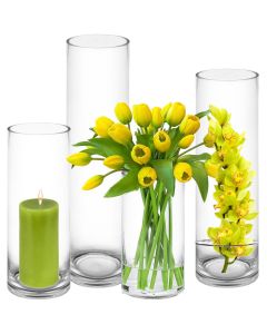 glass cylinder vases 5 inches diameter