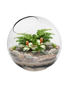 terrarium vase vasemarket