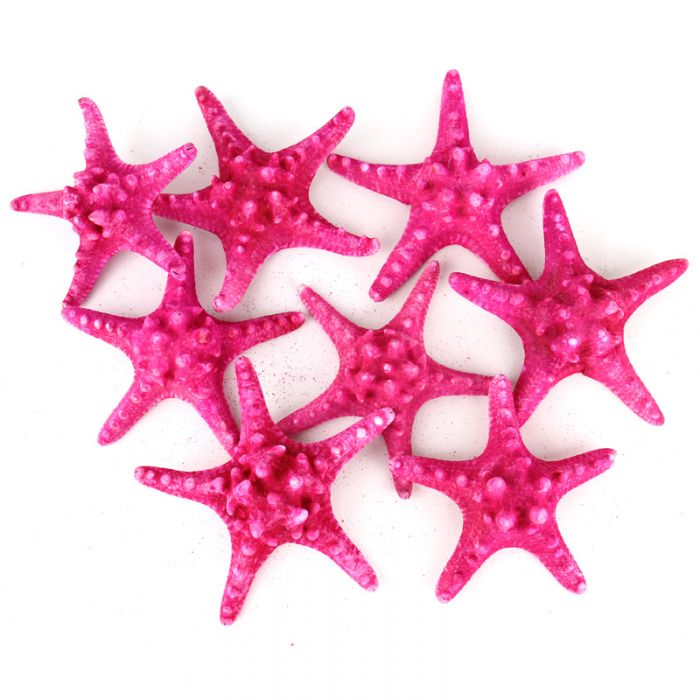 As mentioned in previous blogs, we've also got a colorful collection of knobby starfish!